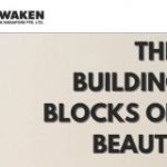 The Building Blocks of Beauty